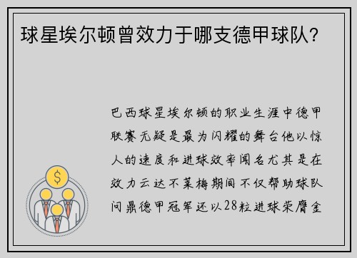 球星埃尔顿曾效力于哪支德甲球队？